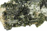 Lustrous, Epidote Crystal Cluster on Actinolite - Pakistan #164844-3